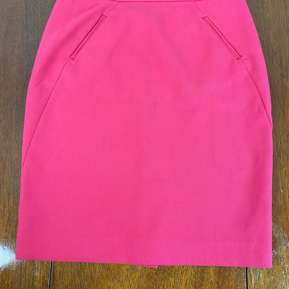 Elegant Pink Women's Skirt